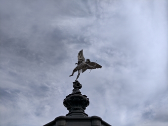 诺基亚9pureview,诺基亚9pureview拍照评分