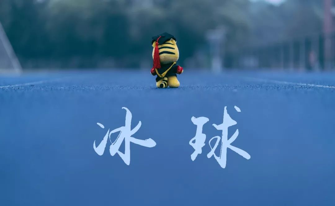 大学室内轮滑场,北京室内旱冰轮滑场