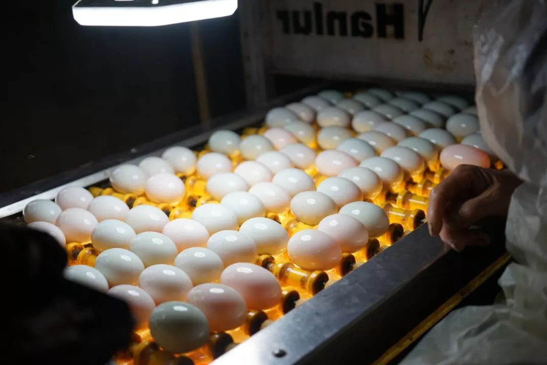 五月种草季,五月种草