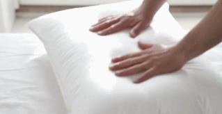 丹麦枕头哪个牌子好,丹麦皇室枕头