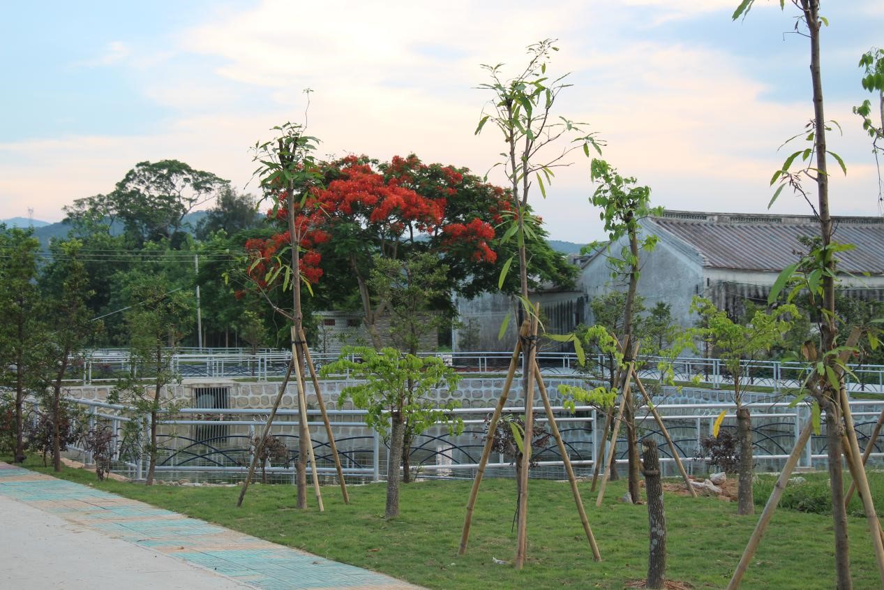 广东省汕头市千企帮千村,汕头百千万工程推进乡村振兴