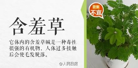 女子在家中毒成功案例,碰一下就中毒是怎么回事