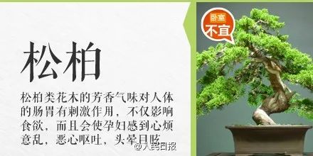 台州人注意！碰了一下就中毒，严重者可致命！这个毒物很多人家里有