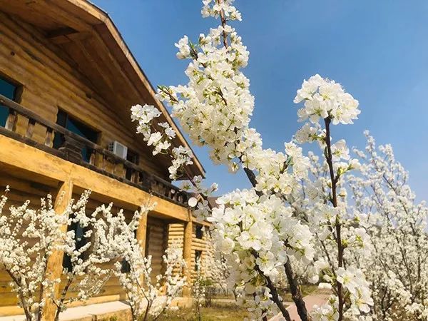 吉林滑雪场日出,吉林夏季营业滑雪场