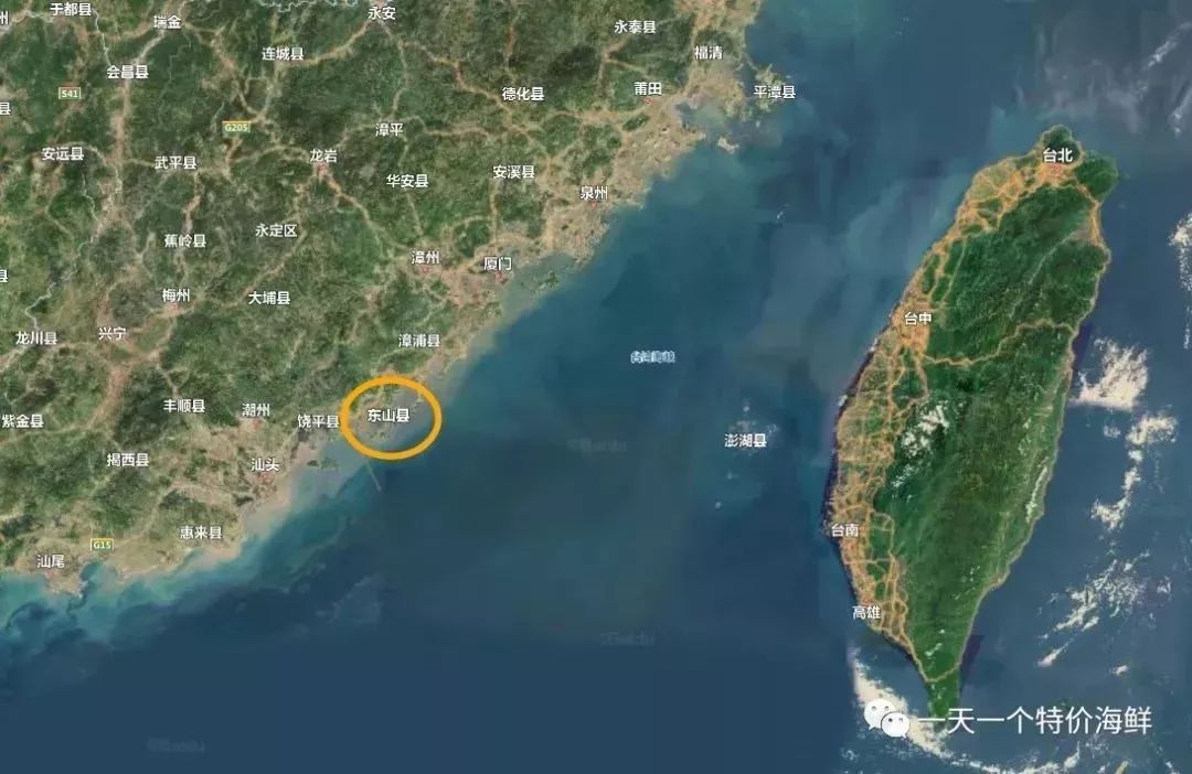 渔家女朋友圈直播,渔家女海鲜直播