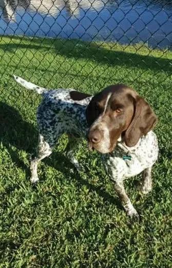 闻毒品气味算吸毒吗,缉毒犬闻毒