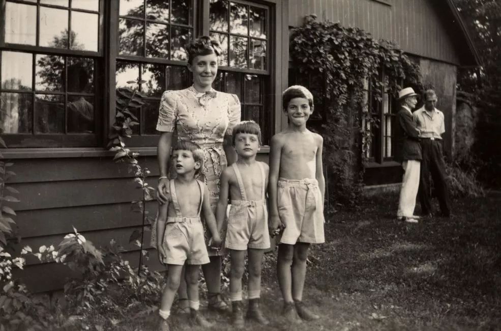 路易斯布尔乔亚细胞,路易斯布尔乔亚作品解读