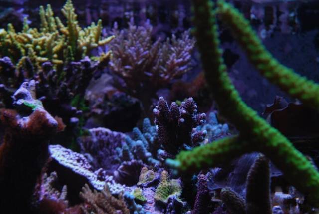 鉴定完毕就是好人吗,鉴定完毕就是亲生的没错了