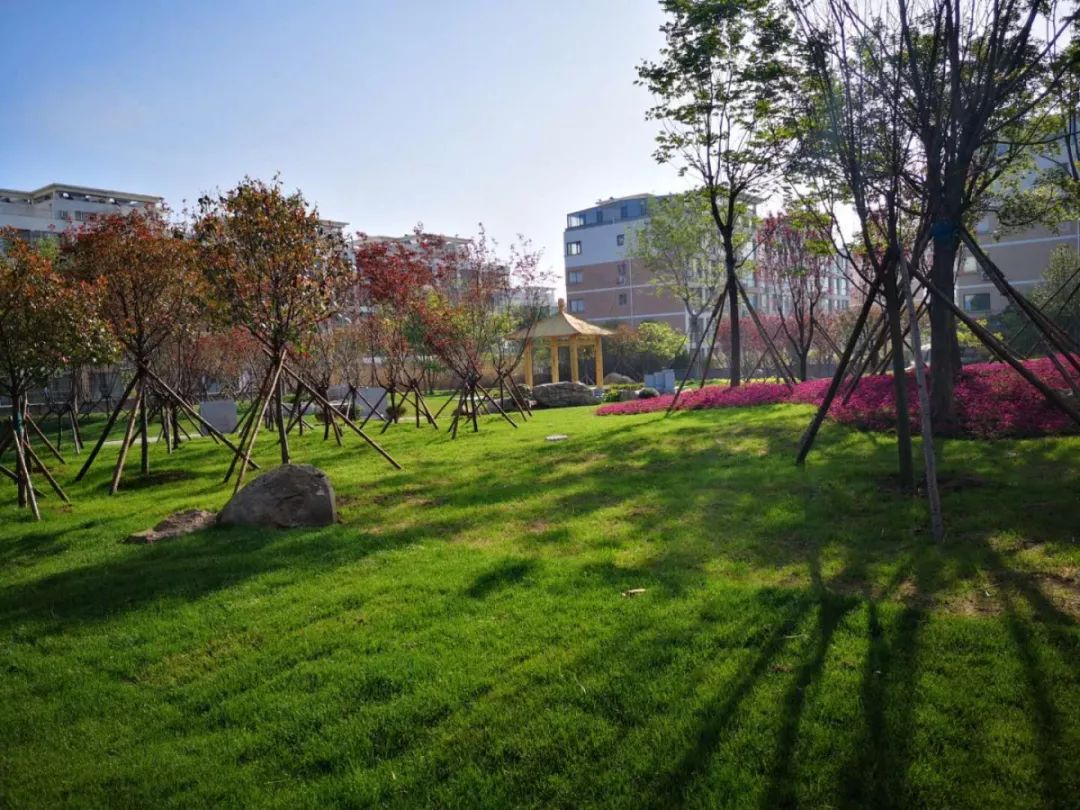 日照海曲公园开放时间,山东日照海边公园是否开放