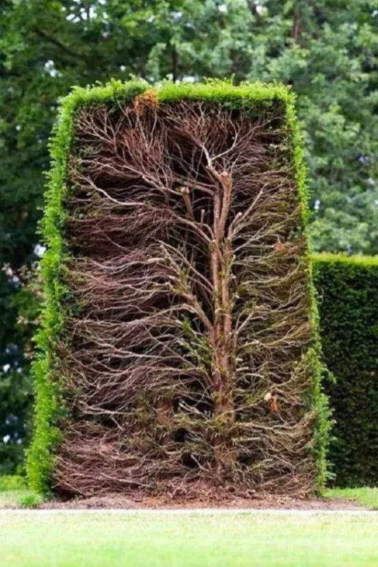 冷知识合集视频,冷知识合集超长