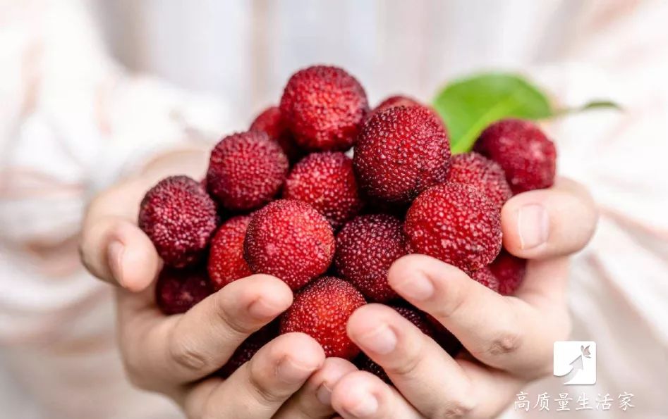 洗杨梅用什么去虫卵,洗杨梅加什么才能驱虫子呢