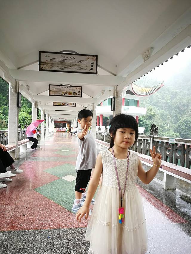 肇庆七星岩鼎湖山自助游,肇庆鼎湖山和七星岩相距多远