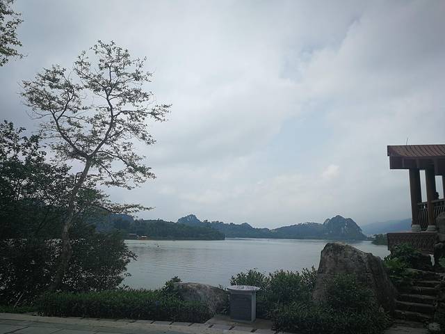 肇庆七星岩鼎湖山自助游,肇庆鼎湖山和七星岩相距多远