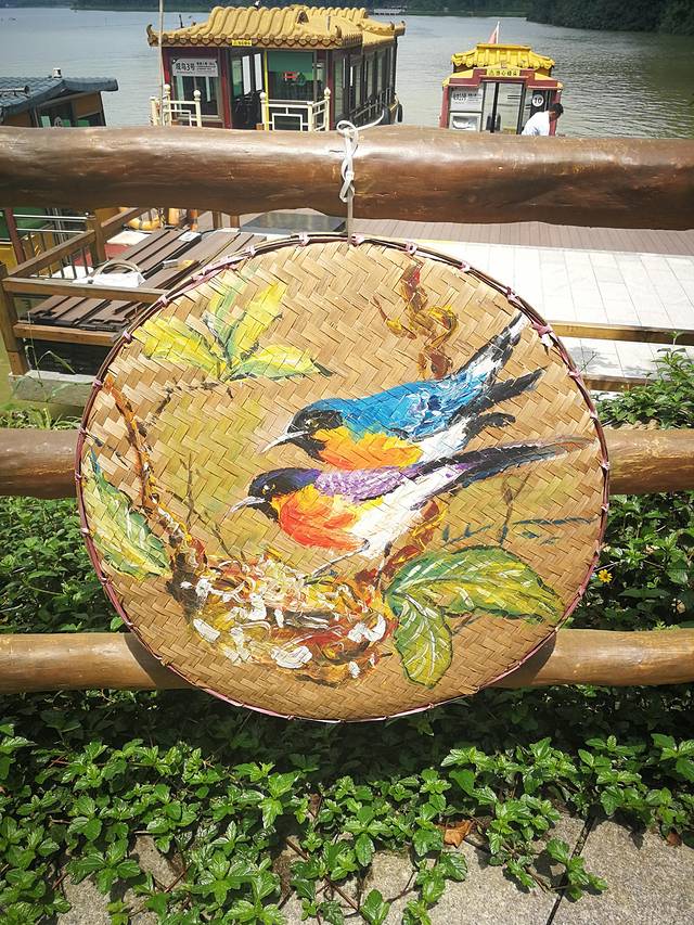 肇庆七星岩鼎湖山自助游,肇庆鼎湖山和七星岩相距多远