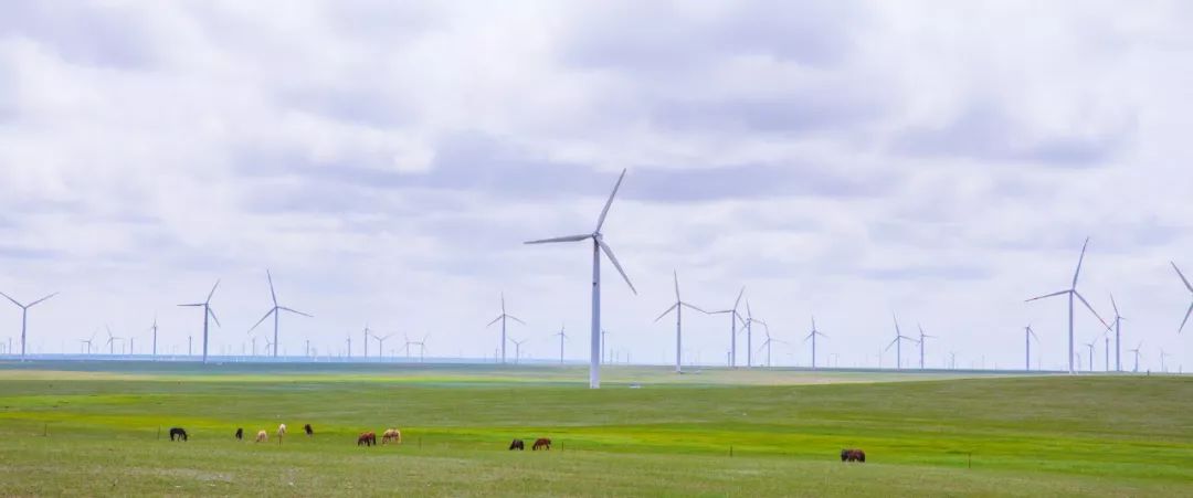 41℃高温来袭！6月白菜价机票来了！从郑州出发最低只要181元