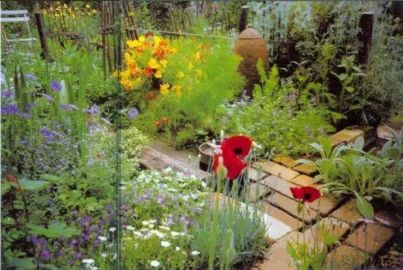 香草类蔬菜功能成分及综合利用研究进展