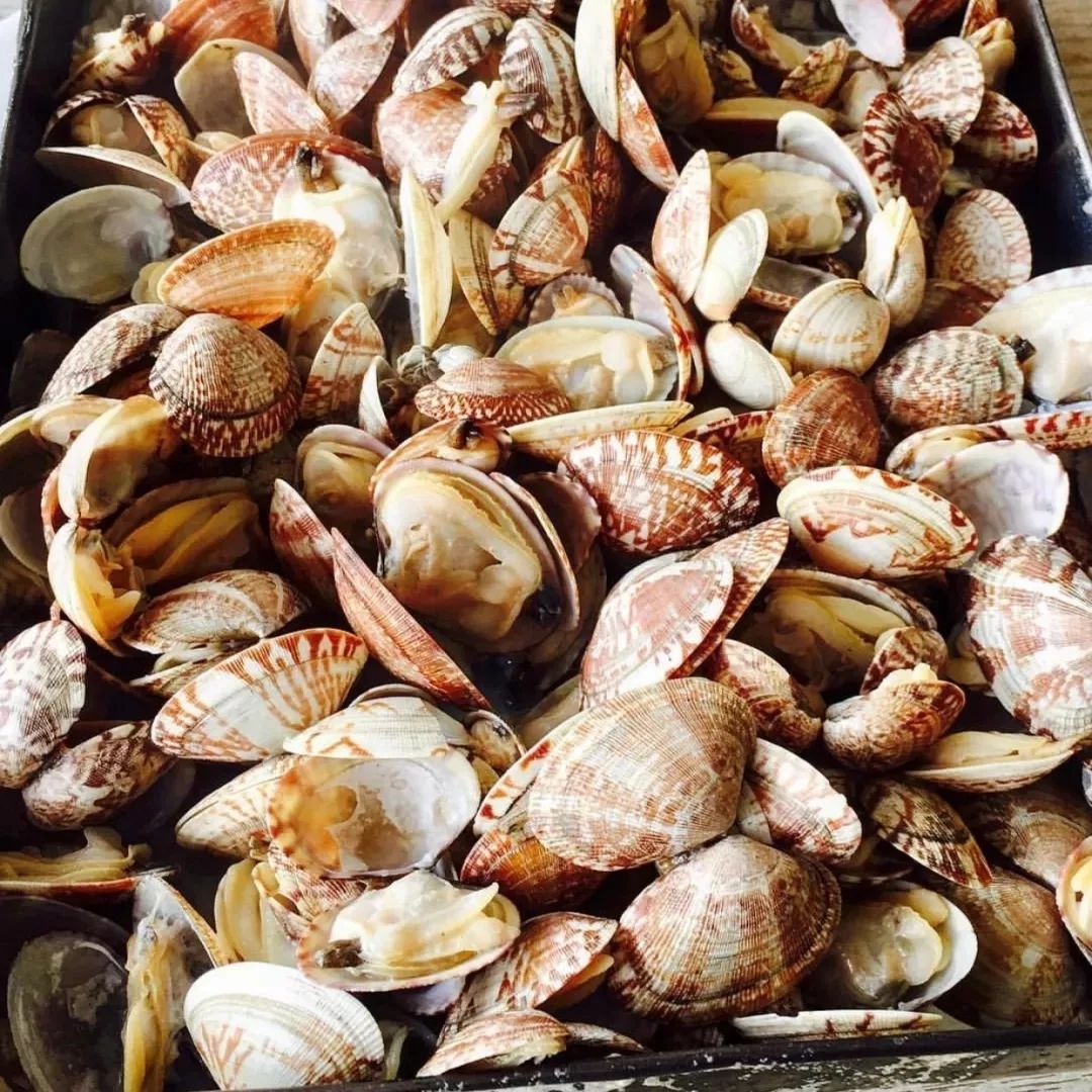 青岛一座浓厚德式风情的海滨城市,青岛一座很美的城市