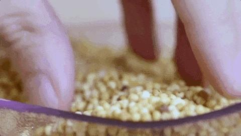 内蒙古小吃特产有哪些,天苍苍野茫茫是内蒙古哪里