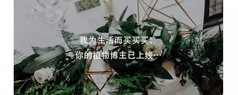 首尔最推荐的店,韩国首尔居家特价店