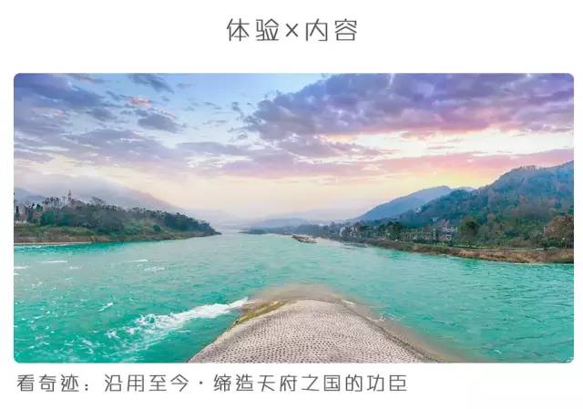 大熊猫铲屎官,都江堰熊猫谷铲屎官报名