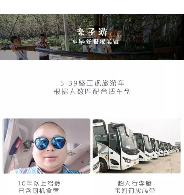 大熊猫铲屎官,都江堰熊猫谷铲屎官报名