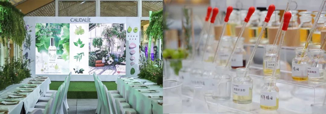 弘叔去哪儿|弘叔的美丽情报局放招啦，小心特派员找上“你”