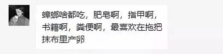 什么武器才能消灭蟑螂,制造消灭蟑螂的大型武器