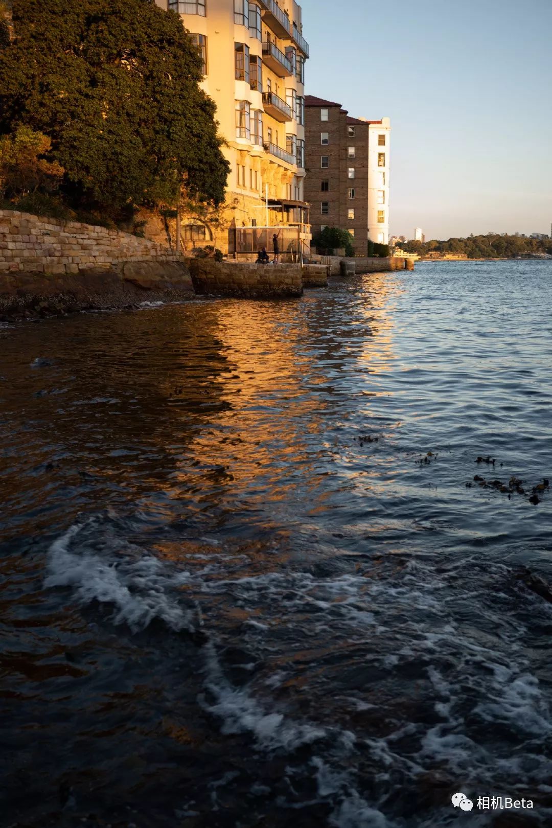 网友投稿实拍,网友投稿p图