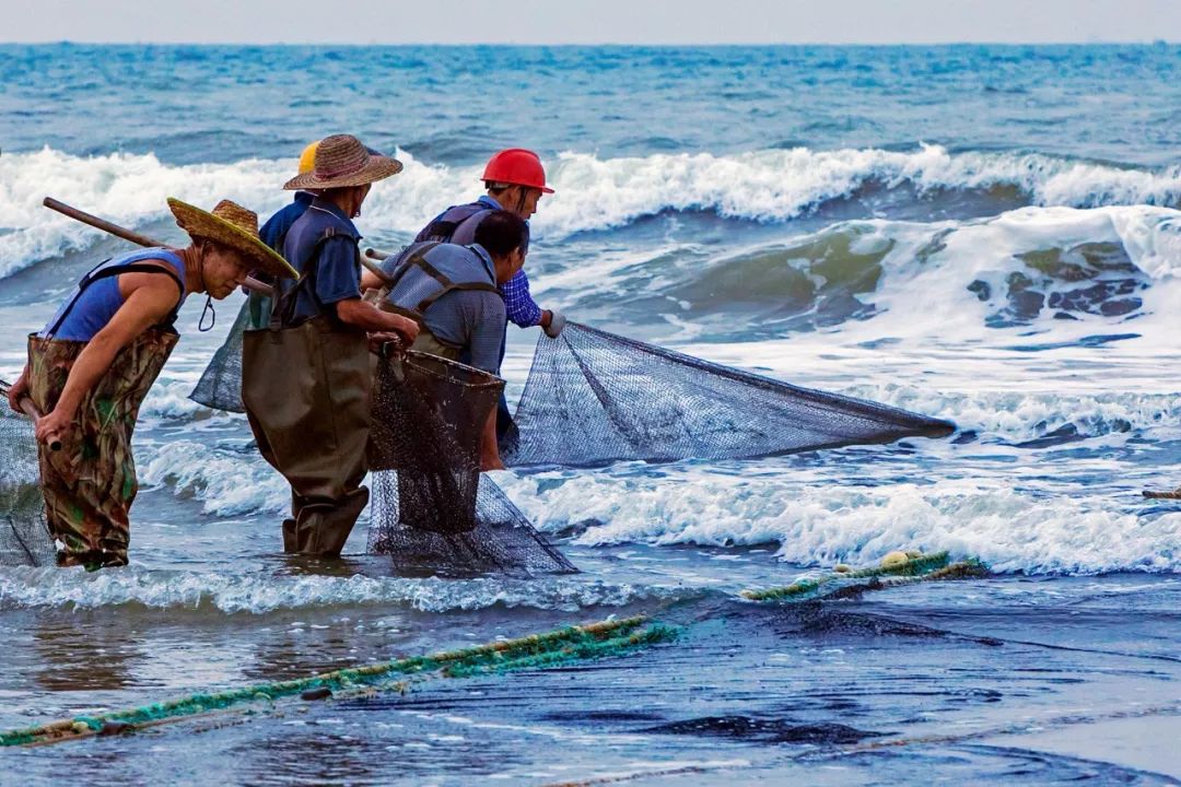 茂名拍摄艺术照,广东茂名的摄影