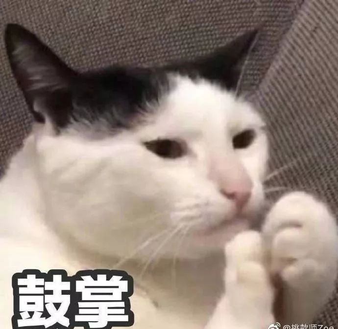 秀！西北优秀师范生汇聚这里，他们干了什么？