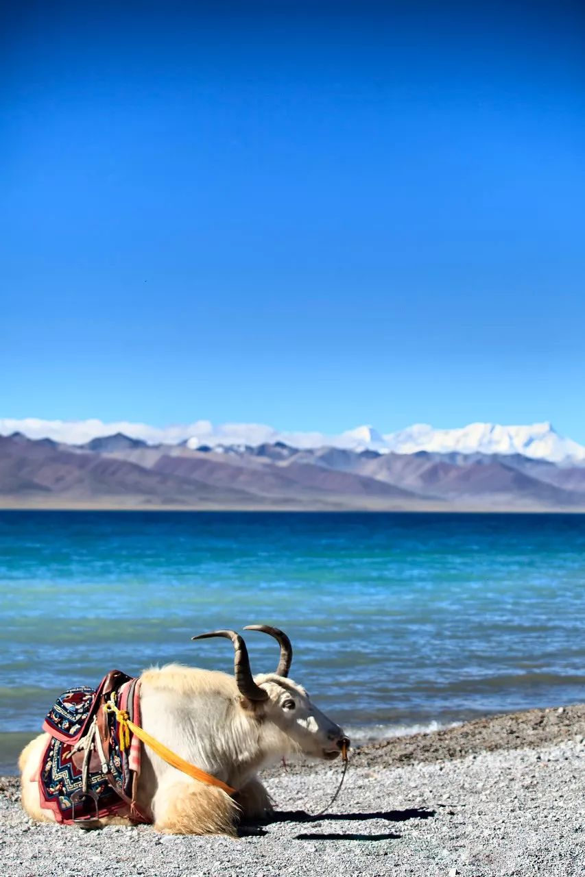 中国国家地理评选出的最美地方,国家地理评选中国最美100地