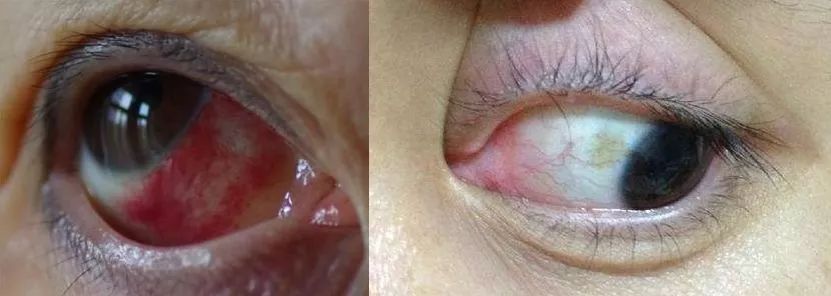 百亿影后再创佳绩，90后大军正式接棒坐镇大荧幕