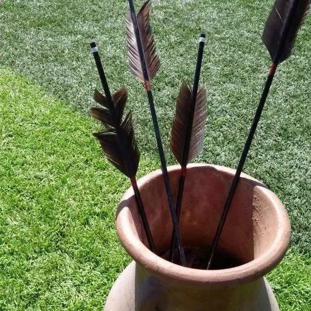 端午节赛龙舟包粽子视频,赛龙舟包粽子