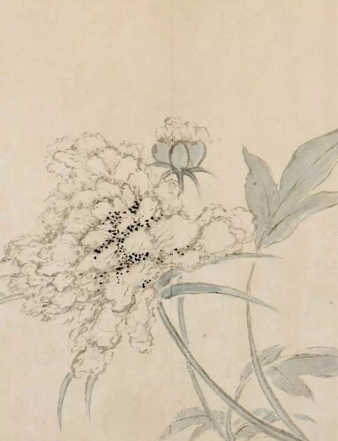 恽寿平的经典花鸟画作品,恽寿平花卉重绘高清图