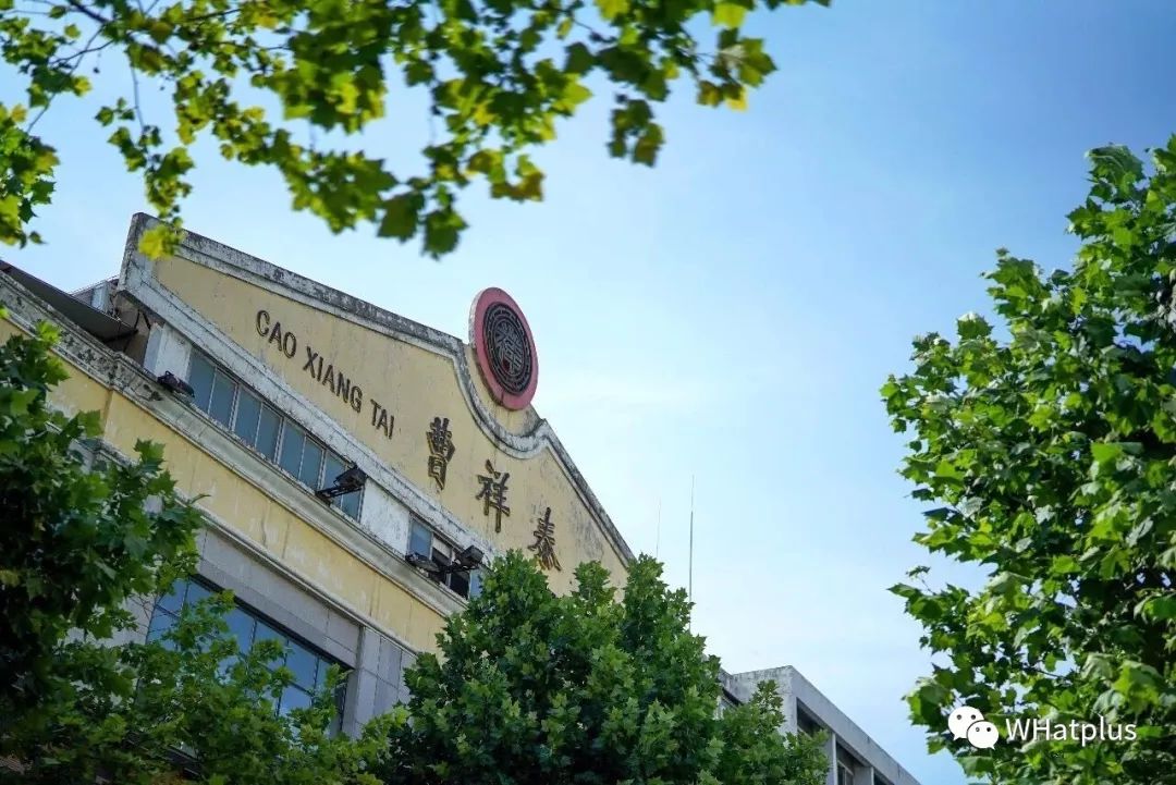 苏州甜粽端午福利哪家好,端午餐饮福利