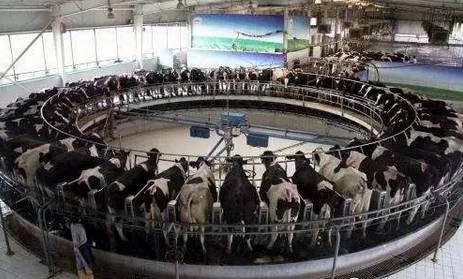 未来5年畜牧养殖业的10大商机！抓住机会你就是赢家