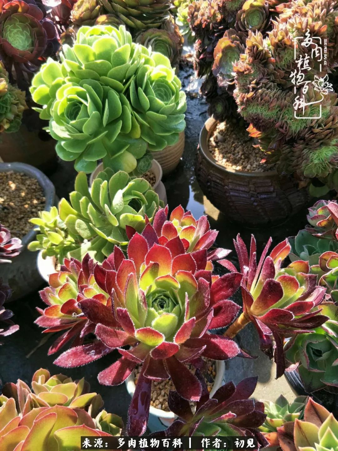 紧张的高三生活也需要适度的放松,紧张焦虑高考