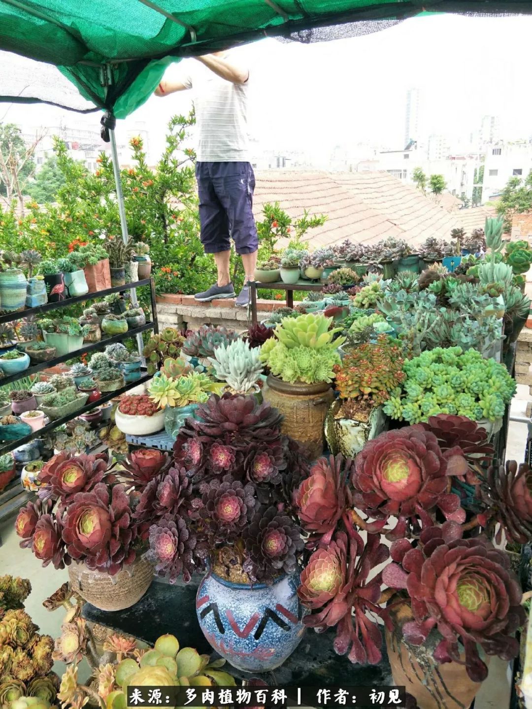 紧张的高三生活也需要适度的放松,紧张焦虑高考