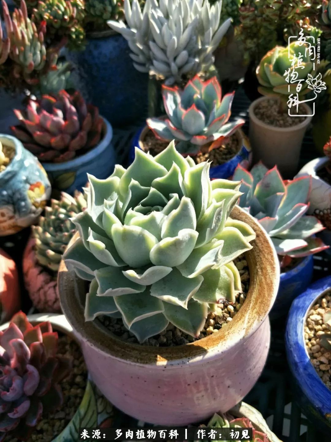 紧张的高三生活也需要适度的放松,紧张焦虑高考