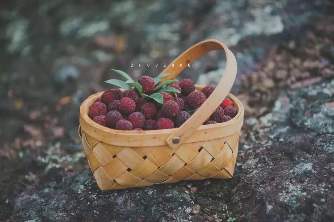 杨梅里面的虫子吃到肚子怎么办,杨梅有虫子怎么吃