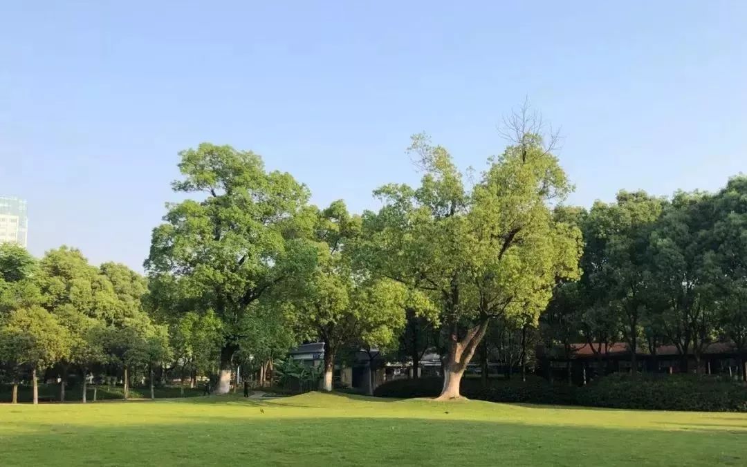 宁波中医院体检报告,宁波新诚体检报告查询