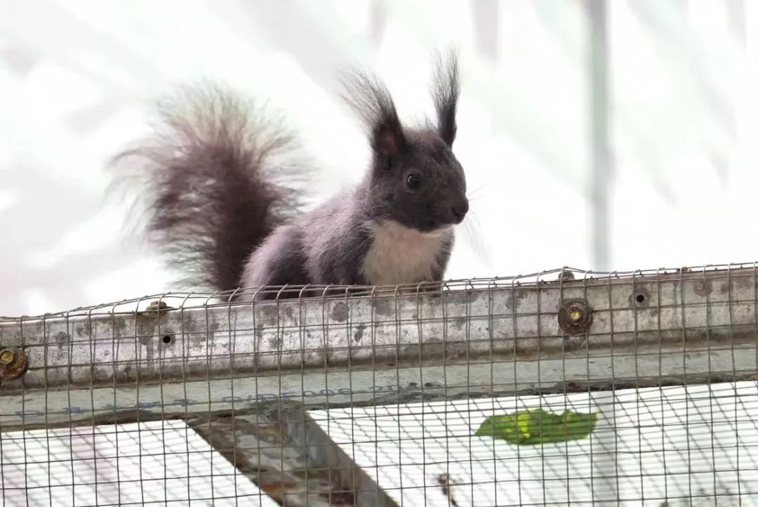 厦门适合带孩子去玩的地方推荐,厦门6月份哪里好玩