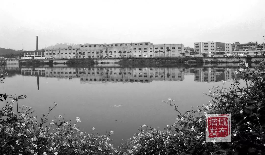 满满的回忆!一组珍贵老照片,带你见证增城变迁!