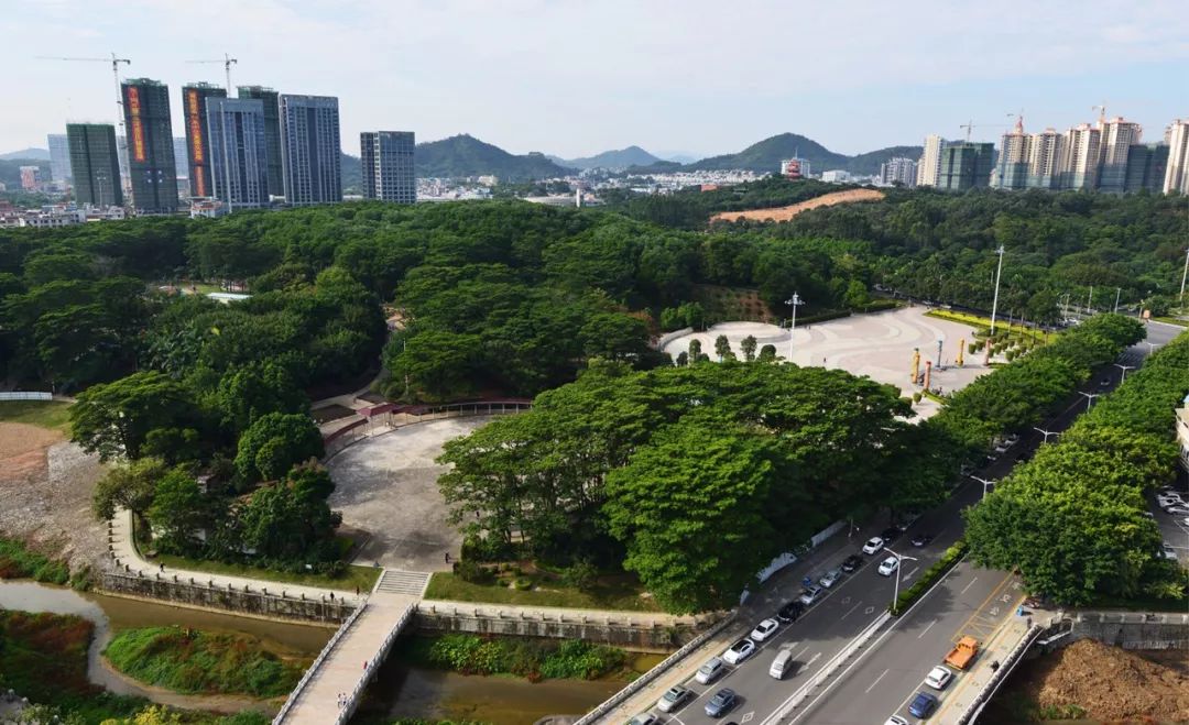 60张照片回忆成长,60多张老照片的回忆