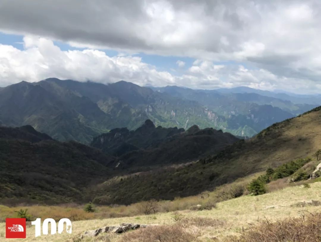 tnf100官网成绩查询,tnf100秦岭国际越野跑