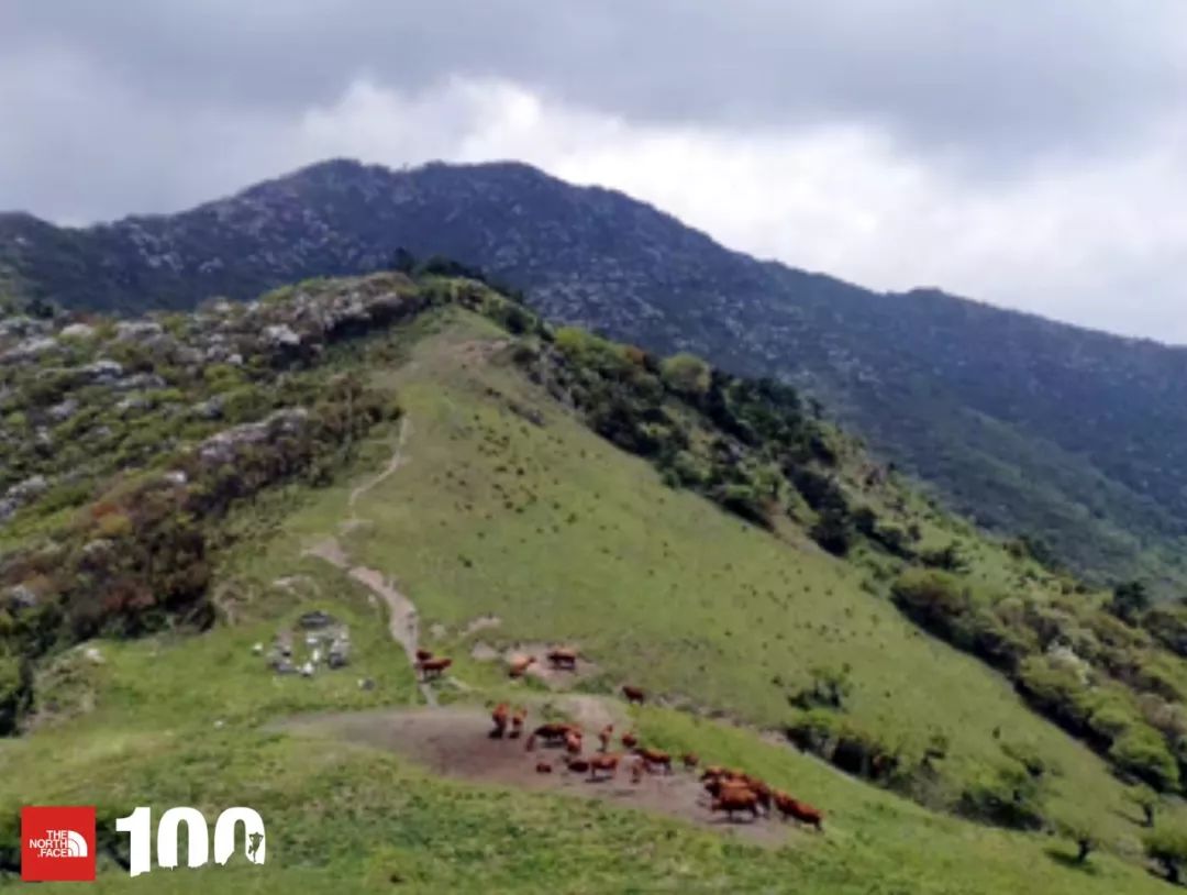 tnf100官网成绩查询,tnf100秦岭国际越野跑