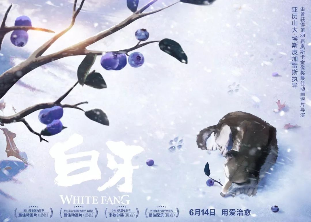 “锤哥”化身“黑衣人”，白百何为爱赌一切|新片