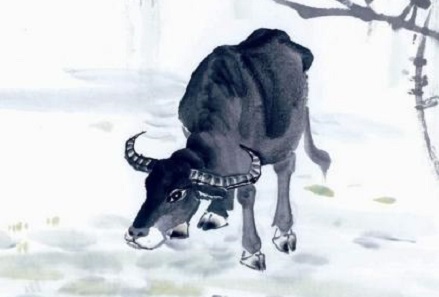 1985年属牛男2019年的婚姻运势,1985年属牛人2022年农历8月运势运程