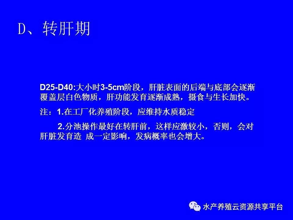 工厂化养殖南美白对虾技术详解,工厂化南美白对虾养殖全过程
