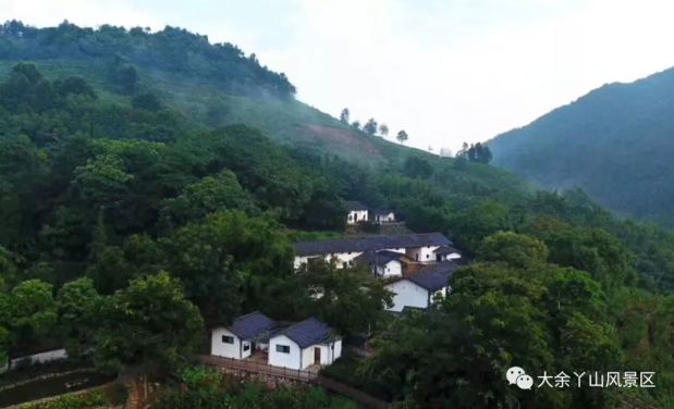 江西丫山景区视频,江西丫山风景区门票